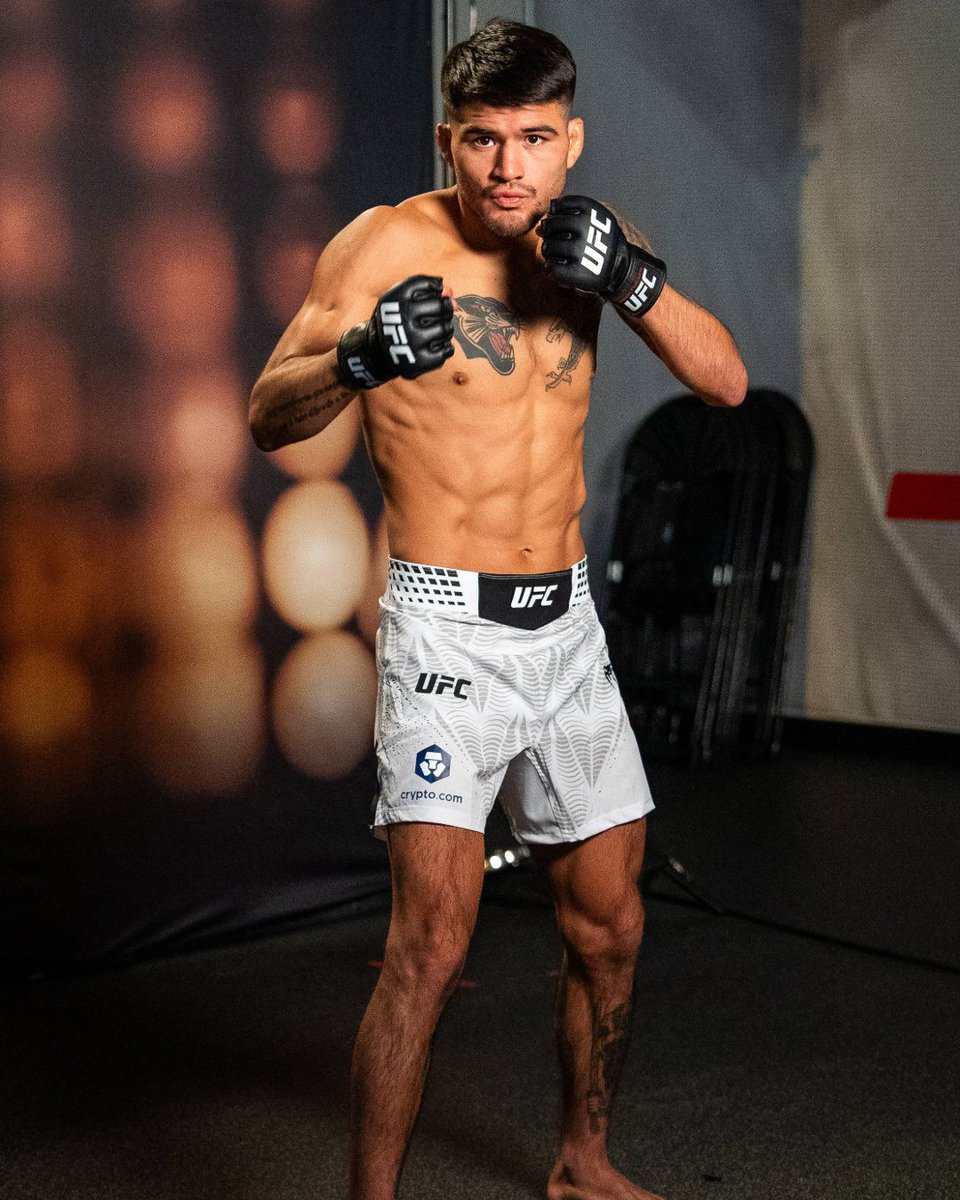 UFC Español tweet media