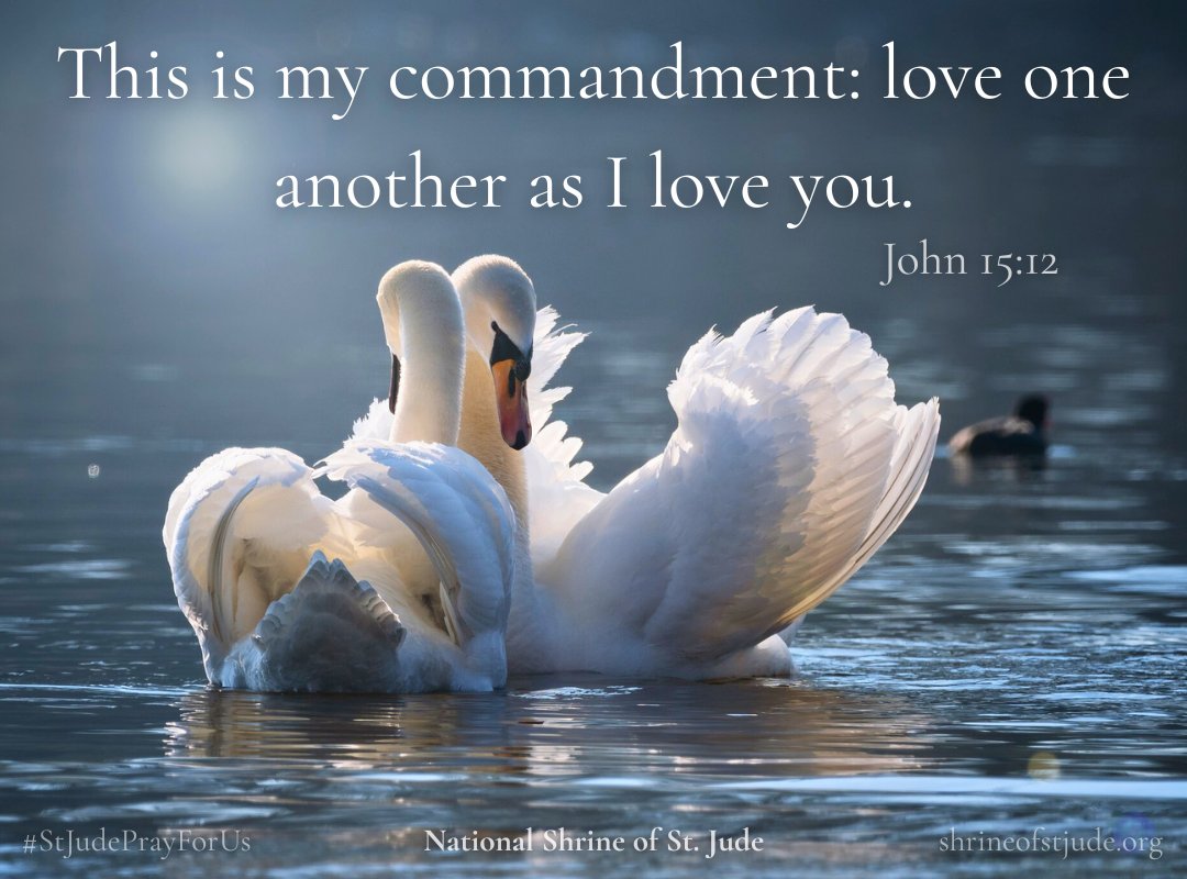 ShrineofStJude's tweet photo. This is my commandment: love one another as I love you. — John 15:12 https://t.co/3wEgg9VqXL