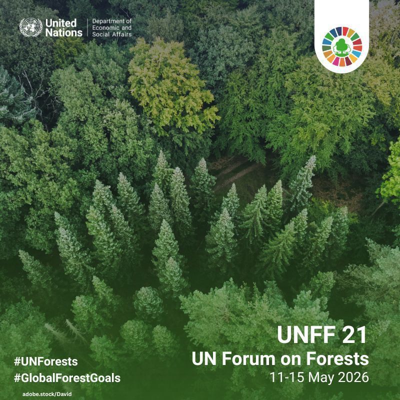 UNGeneva's tweet photo. Forests help fight climate change, protect biodiversity, support livelihoods and sustain billions of people.
๐๐ฎ๐ฌ๐ญ๐๐ข๐ง๐๐๐ฅ๐ ๐๐จ๐ซ๐๐ฌ๐ญ ๐ฆ๐๐ง๐๐ ๐๐ฆ๐๐ง๐ญ is essential to achieving the #SDGs ๐๐ณ๐ฒ
https://t.co/TXwcaOtMO6
#UNForests #GlobalForestGoals https://t.co/FuJqqn0Axb