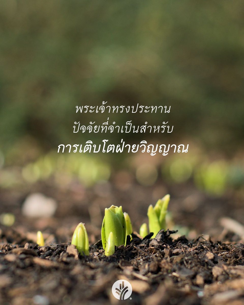 มานาประจำวัน tweet media