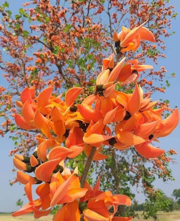 M A Azad🇧🇩 tweet media