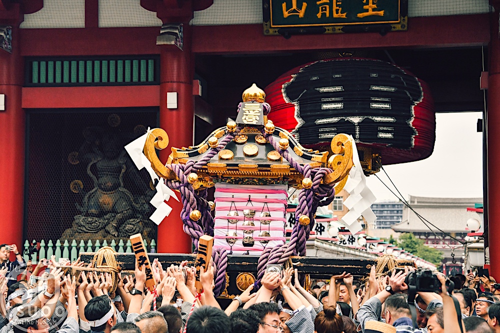 30tsubo's tweet photo. 浅草・三社祭

浅草のまちでお神輿見物をするならこんな感じでしょうか⁈

5/15(金)【夕方〜夜：一部の町内神輿】
5/16(土)【朝〜夜：町内神輿】
5/17(日)【早朝〜夜：本社神輿／朝〜夕方：町内神輿】 

Photo by Komaro

#浅草 #三社祭 #祭 #asakusa #神輿 #写真 https://t.co/XGimGaMWzK