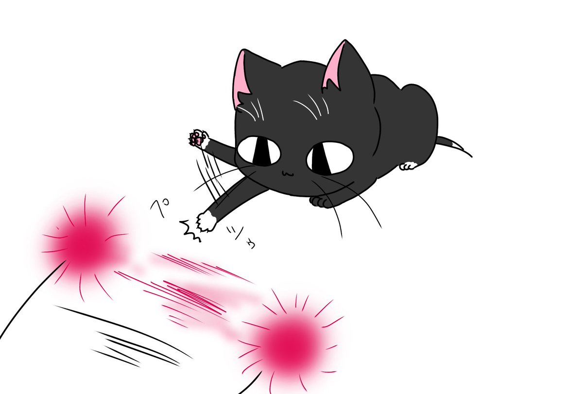 (ΦωΦ)(ΦωΦ)猫ねこちゃん♥トレー♥(ΦωΦ)(ΦωΦ)(ΦωΦ)猫♥ 皆様おはよぉございますわぁ (ΦωΦ)☀