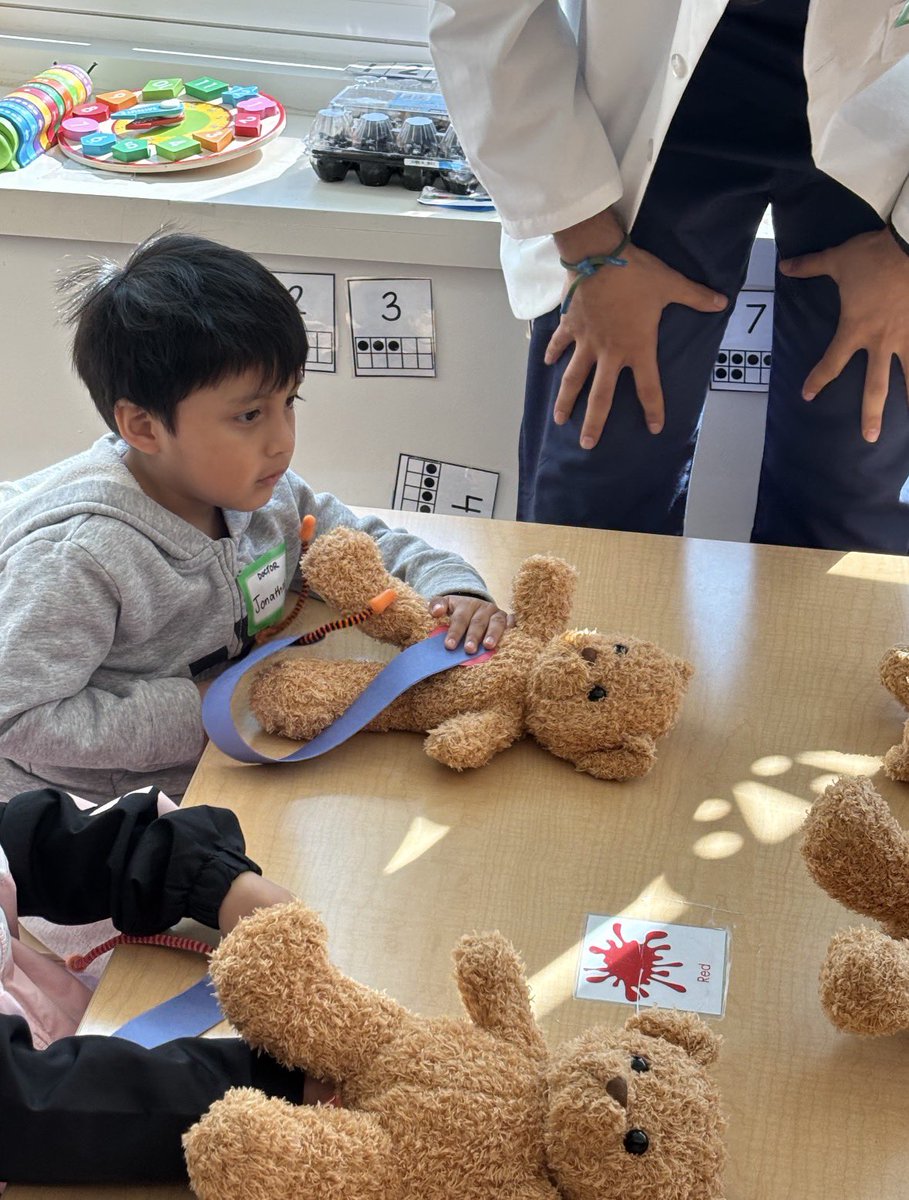 MPkd24's tweet photo. Q369 Students received a visit from the Teddy Bear Clinic.  Medical students from Ross University School of Medicine, aspiring to be pediatricians, showed them how to take care of bears. https://t.co/qDvOAXqhcN