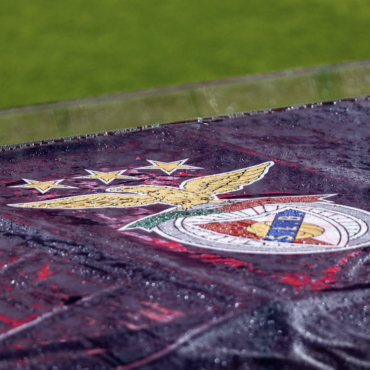 PLUS Benfica tweet media