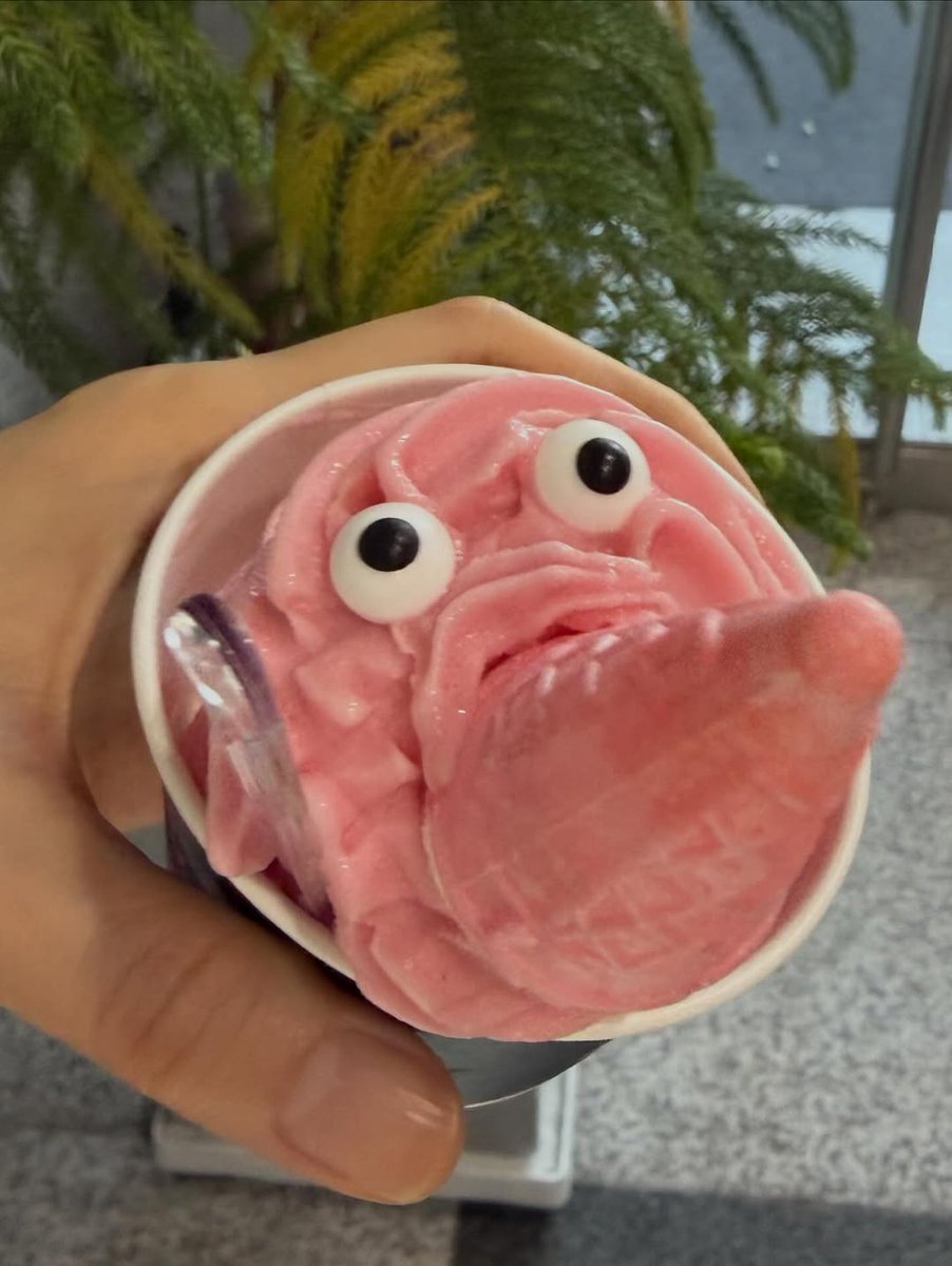 𝗰𝗼𝗰𝗼 tweet media