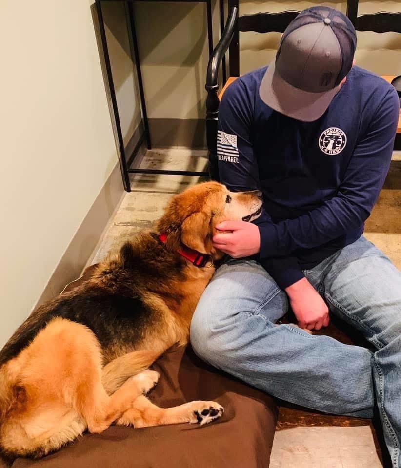 Project K9 Hero tweet media