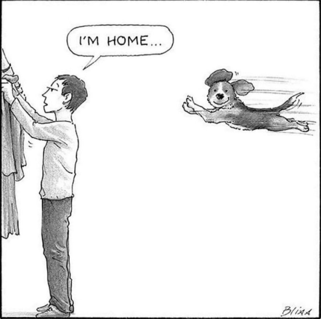 dogtv's tweet photo. Yup. Looks about right. ♥️

Credit: Harry Bliss, @blisscartoons

#DOGTV #DogPeople #DogDad #BlissCartoons https://t.co/Scxhf0DPkQ