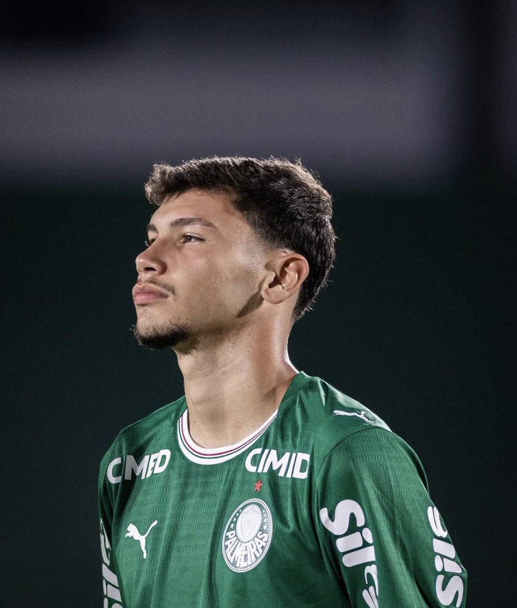 Gustavo Terini tweet media