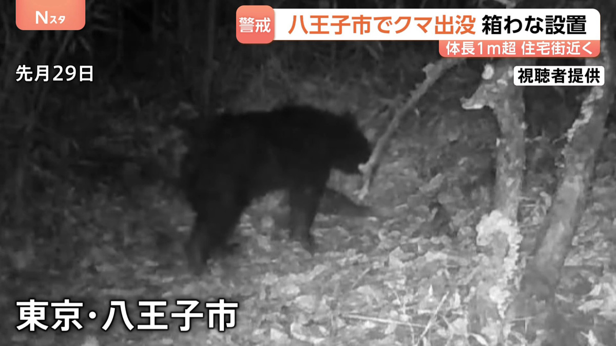 東京（八王子）にクマ出没 知り合いが昨年、家建てたとこだわ（元
