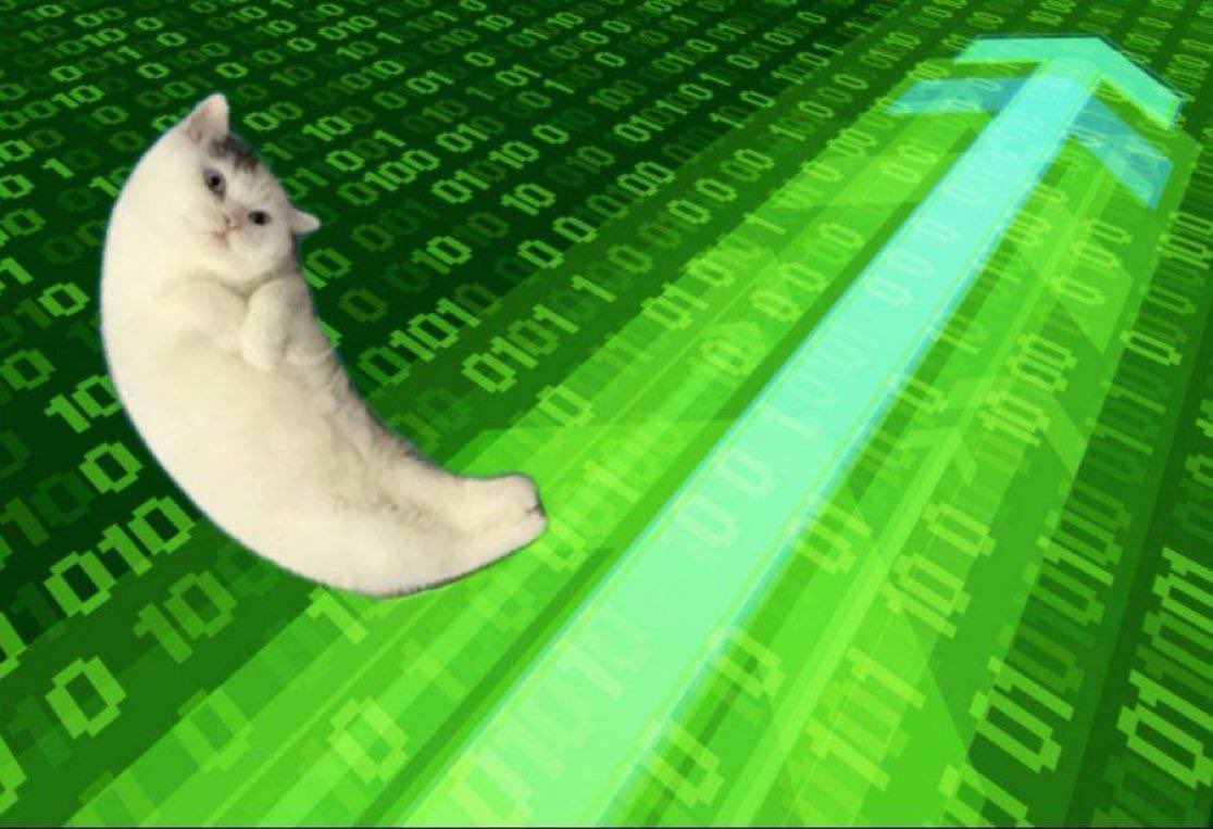 BullsFanatics23's tweet photo. One thing you don’t do in crypto is fade strong communities. Fading $Mooncat at this price may end up being your biggest mistake this cycle.

5uqf5kAFH1b9XzQs3QsZjczs4pERxr7dJ5FM4Bznpump https://t.co/FhrYNzMHbv