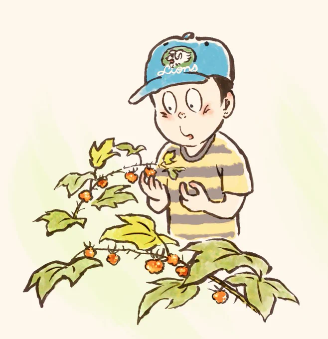 モミジバイチゴを採る少年だまち
