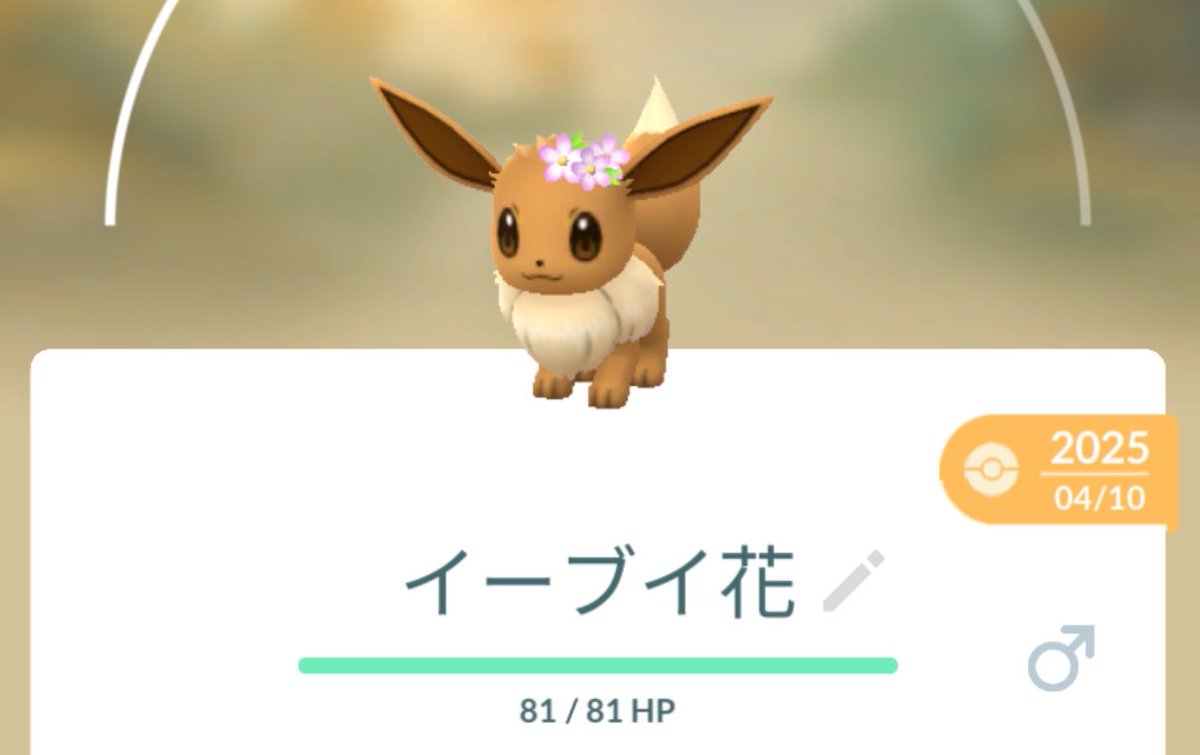 おいか tweet media