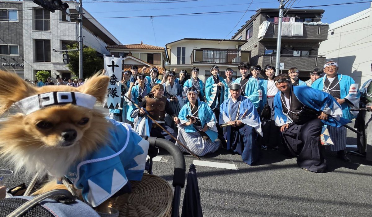 27_Kin_tw's tweet photo. 5/10(土)　ひの新選組まつり

殺陣浪士組の演舞はいつ見てもカッコイイです！
初めて参加したけど、新選組だらけで楽しかった♪

#殺陣浪士組
#ひの新選組まつり https://t.co/9txnb2iVwg