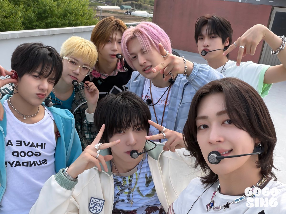 고고씽 GOGOSING tweet media