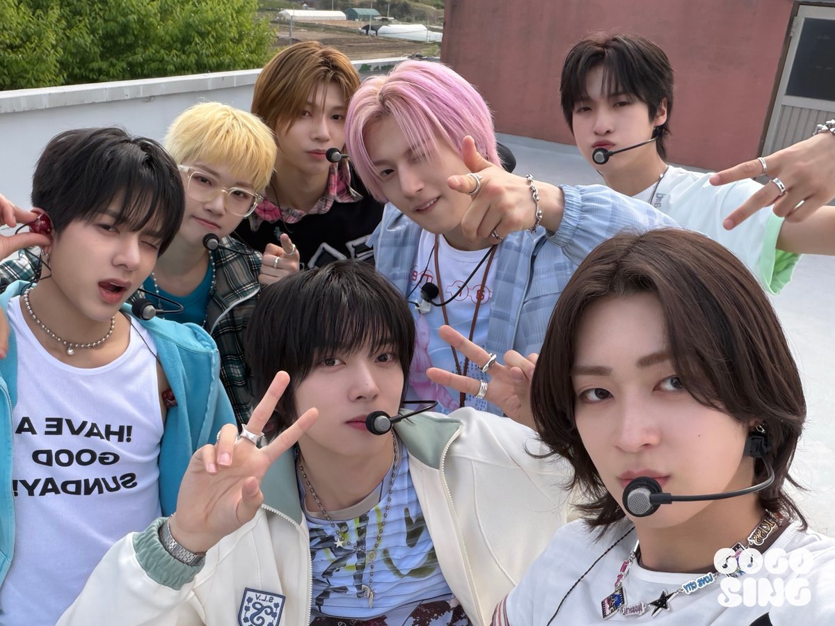 고고씽 GOGOSING tweet media