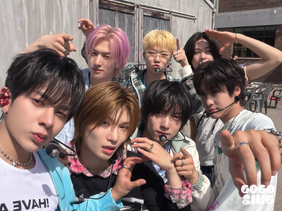 고고씽 GOGOSING tweet media