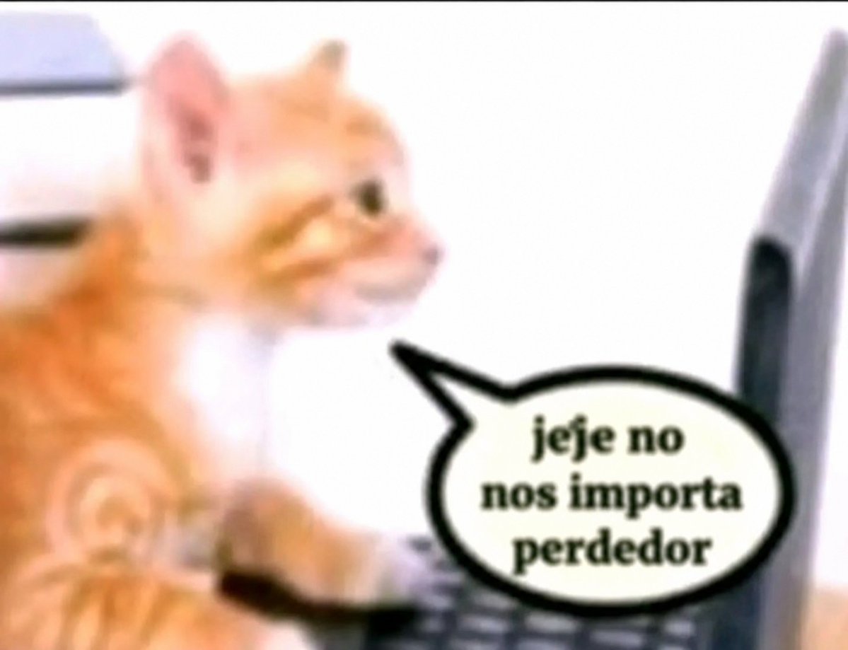 Adrigato763 tweet media