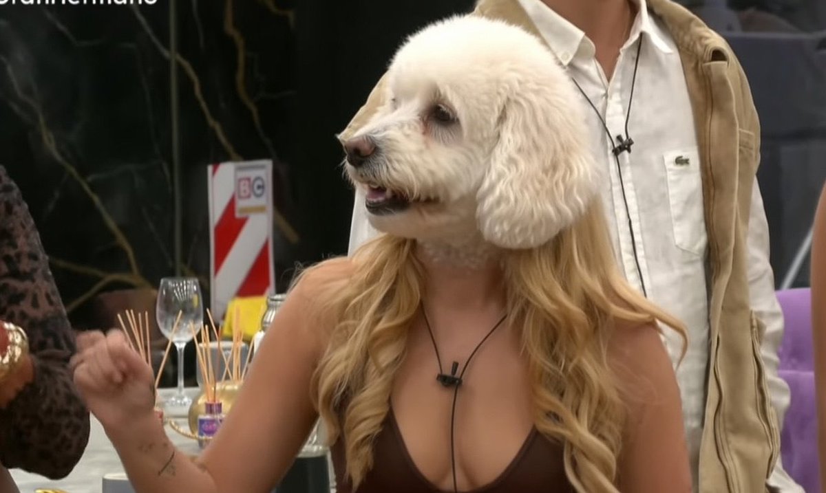 iconomart_'s tweet photo. Estamos a tiempo de salvar este gh y rajar al caniche planta de esta edición LOLO AL 9009 #Granhermano https://t.co/Hb0RsB89mv