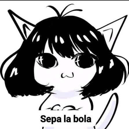Chatea con Junko tweet media