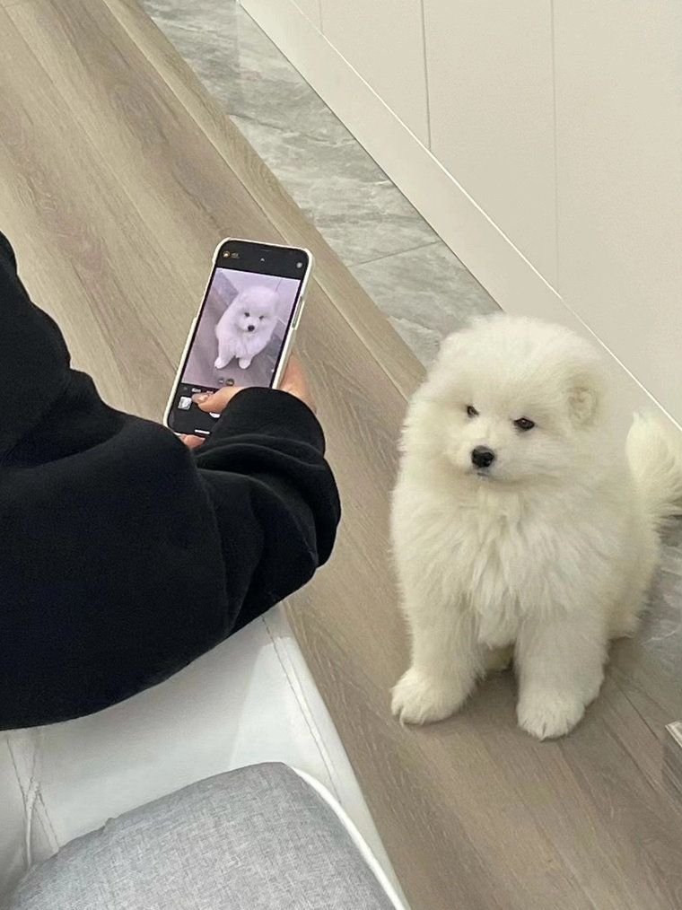 khunphisaw 🐾🏒 tweet media