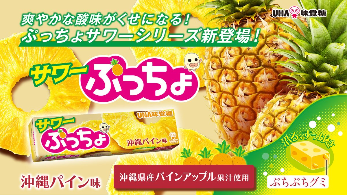 ぷっちょ【公式】 tweet media