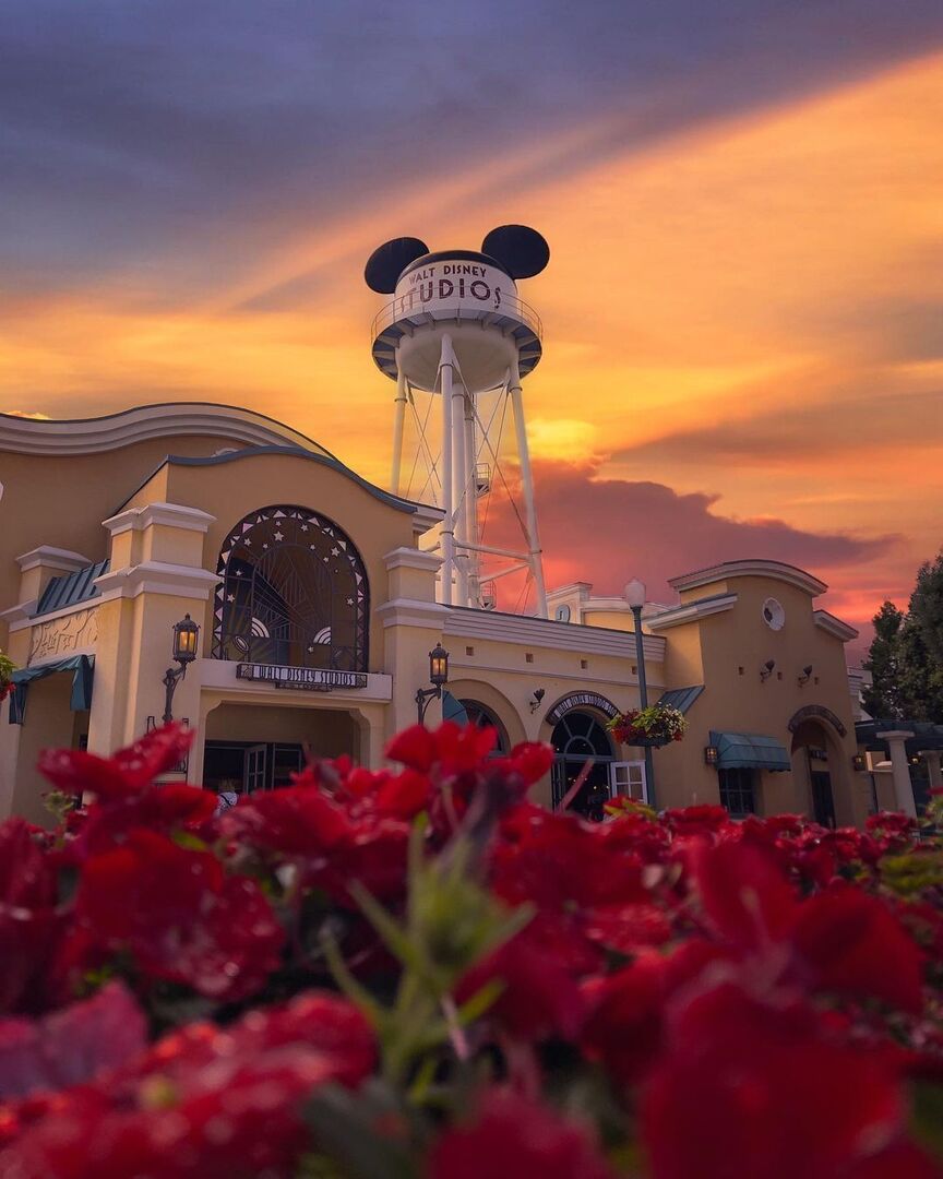 ositobarrigon's tweet photo. #Disney #Disneyland #DisneyWorld #AtThePark #OsitoBarrigon https://t.co/tN4L0PNou6