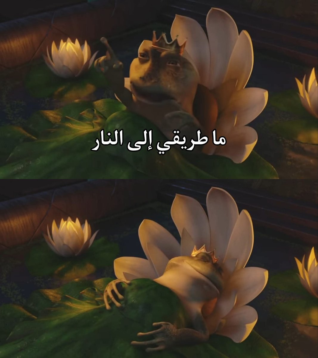 إتش دبورة tweet media