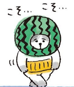 めっちょも tweet media