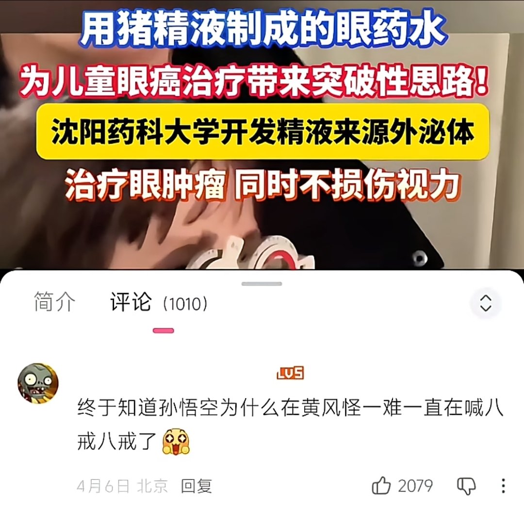 不包番茄籽的番茄 tweet media