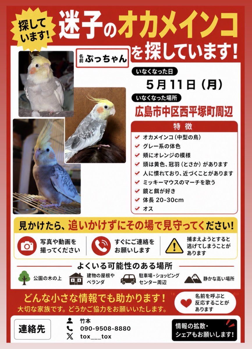 認定NPO法人TSUBASA -新施設クラファン達成しました!- tweet media