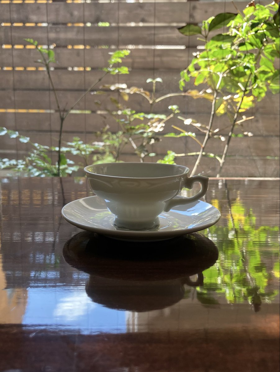 サルトリイバラ喫茶室 tweet media