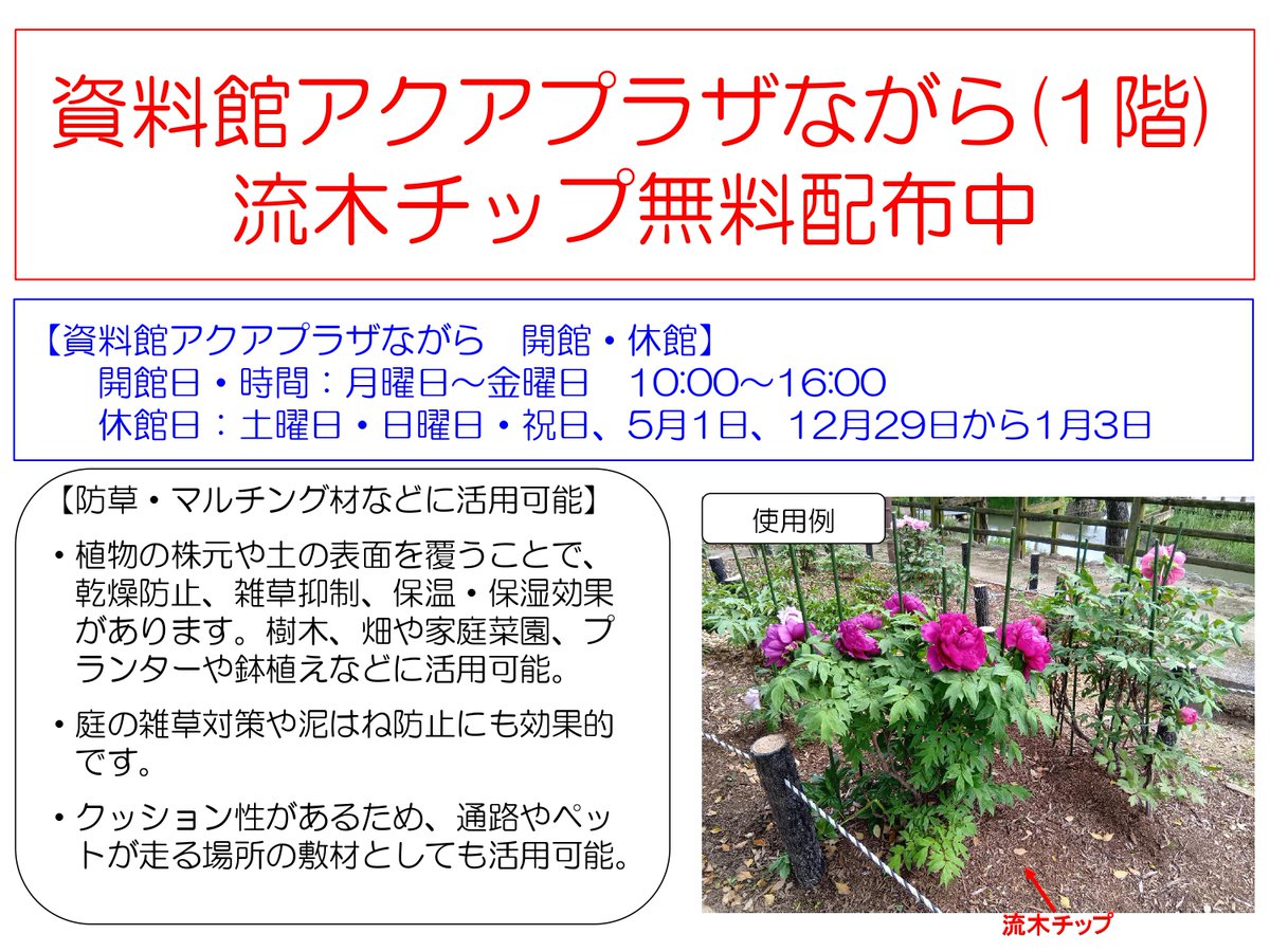 jwa_nagara's tweet photo. 資料館アクアプラザながら（1階）にて、流木チップを無料配布しています！
このチップは、長良川河口堰に流れ着いた流木を再利用しています。
乾燥防止、雑草対策の効果があるため、畑や家庭菜園に活用可能です！
また、別途無料配布を行っていますので資料をご確認ください。 https://t.co/oHcZOi9yCj