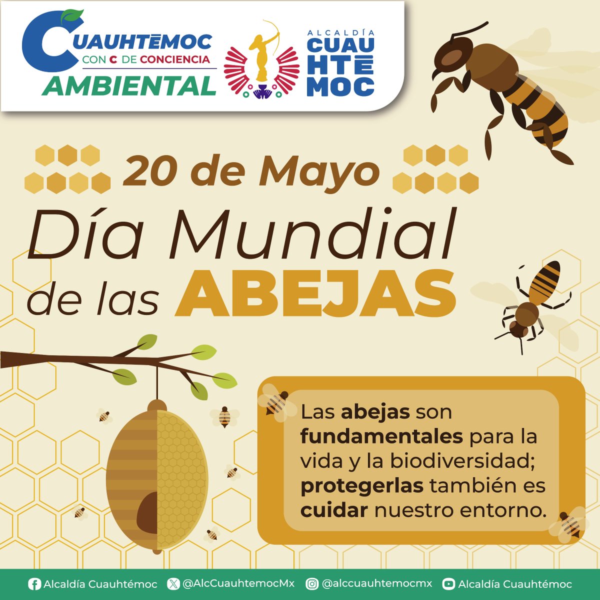 Alcaldía Cuauhtémoc tweet media
