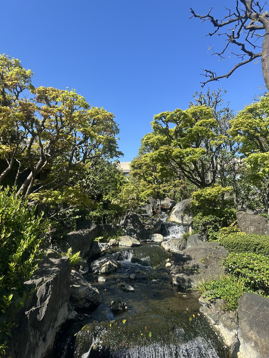 dcnzel's tweet photo. i miss japan https://t.co/5Cvko3NnE1