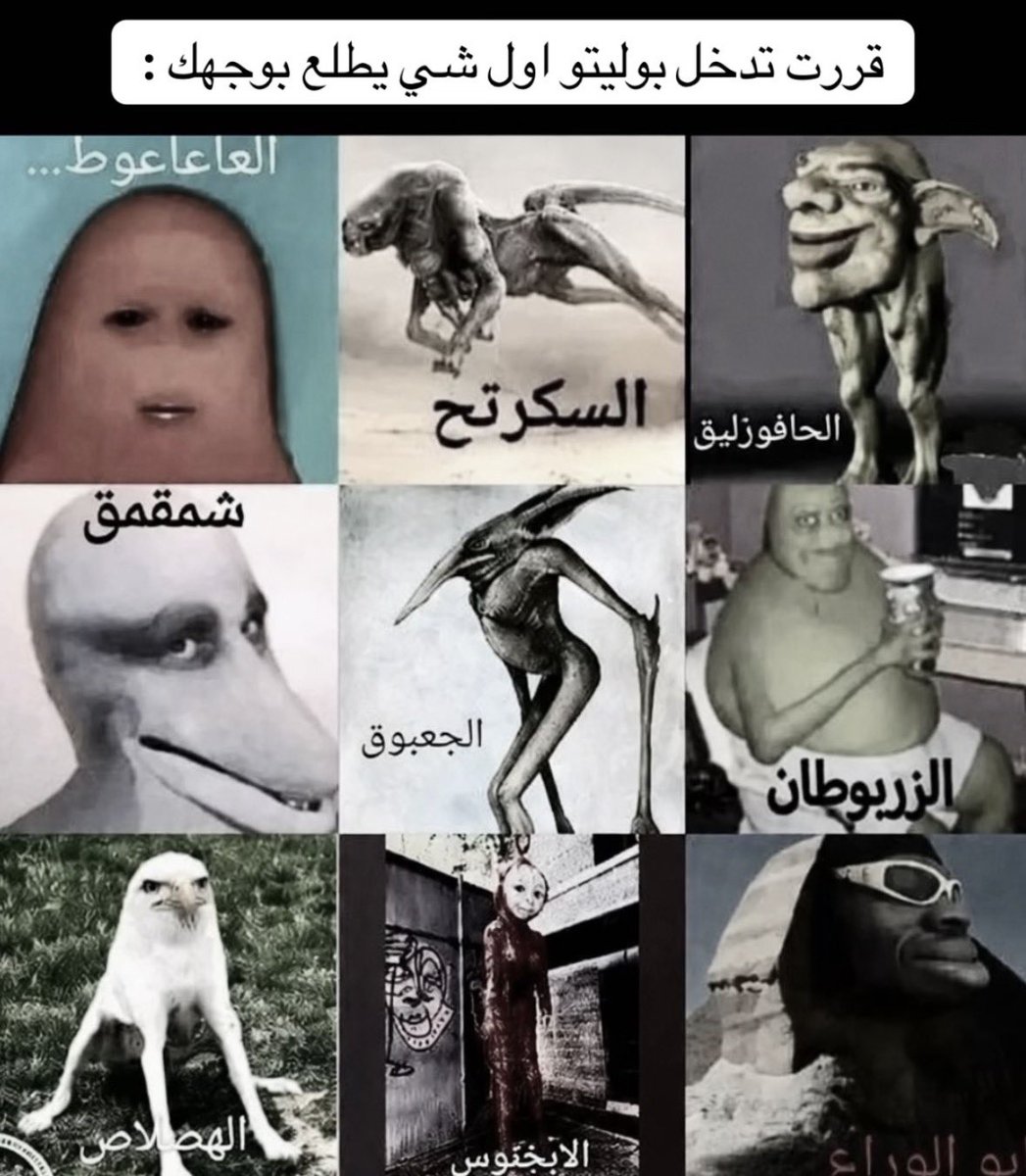 10 tweet media
