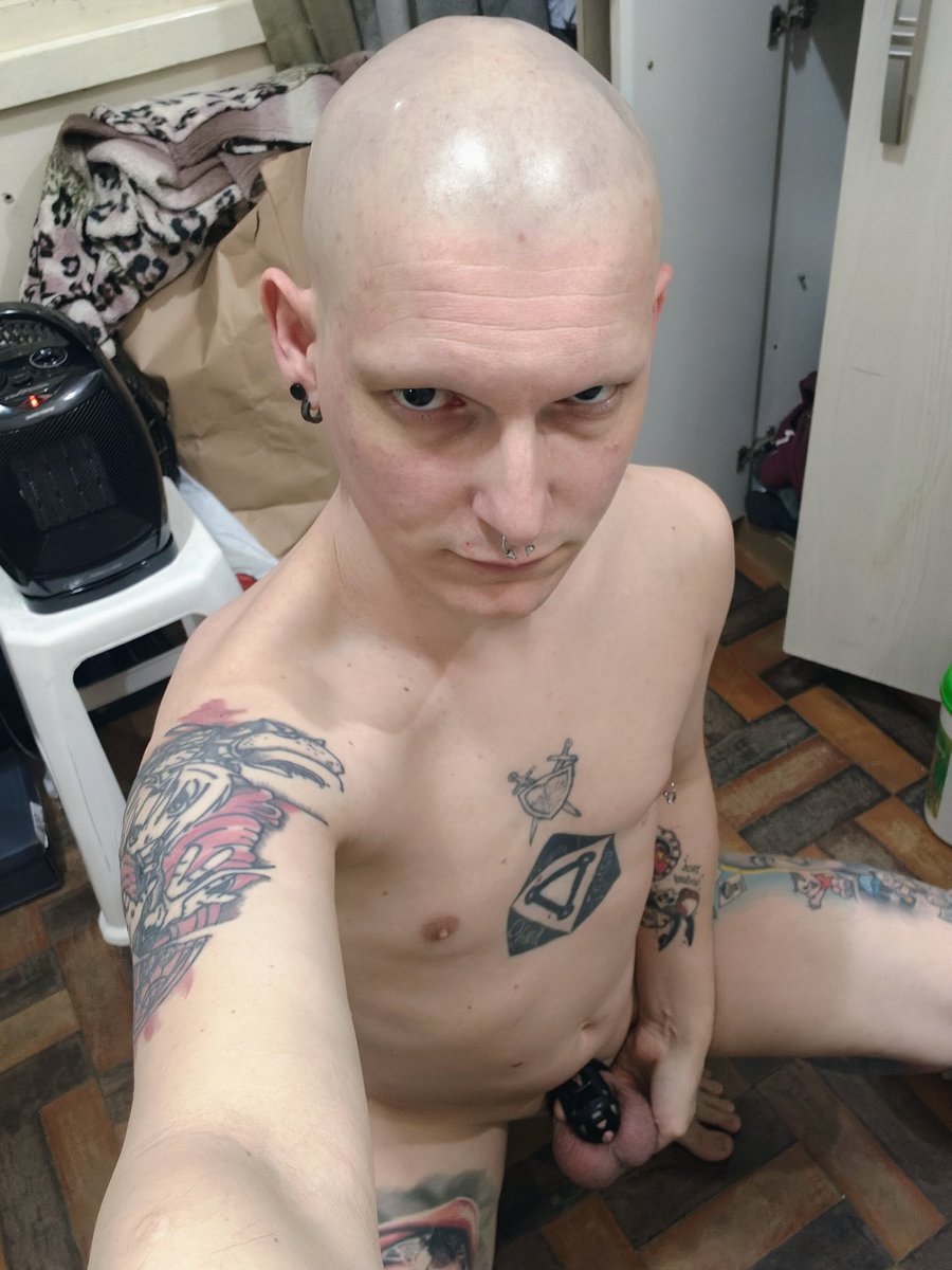 hairless object tweet media
