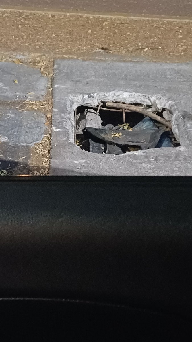 denilun's tweet photo. @C5_CDMX @Alcaldia_Coy @OVIALCDMX 
Así están estas coladeras en el Parque Xotepingo desde hace mas de dos meses, son un peligro es área donde juegan niños, la gente hace ejercicio y sacan a sus mascotas, es frente la antigua plaanta de bombeo
Urge que arreglen https://t.co/DjMZDDfTxm
