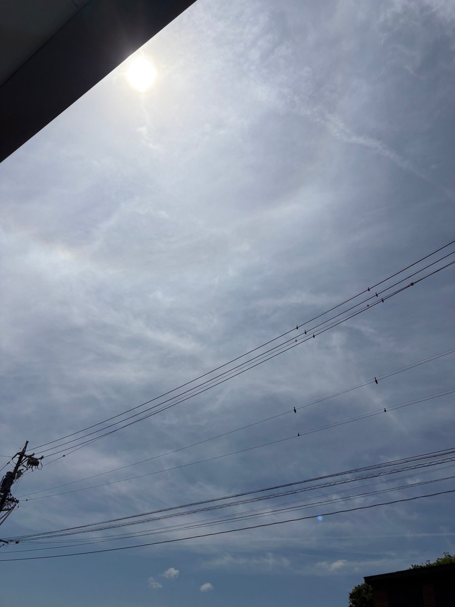 AS___planning's tweet photo. おはようございます🌞
エースプランニングです！5/14！
＃上田市　は今日も晴れです！
昨日も一昨日もですが、夕方に雷雨になりますね😂
洗濯物を出していたので、濡れていました😂
今日はずっとお天気がいいといいですね✨
ちぃちゃんの写真とともに！
本日もお願いします☺

＃企業公式相互フォロー https://t.co/JlykqbEvhc