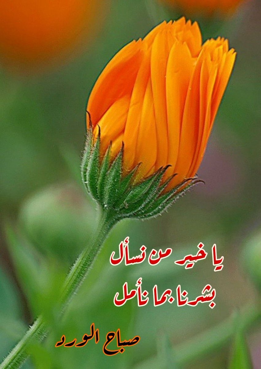 مُـــنى 💎 tweet media