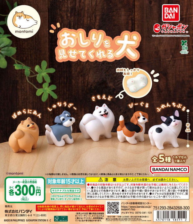 ガチャガチャの森®︎【公式】商品部 (@gacha_product) / Posts / X