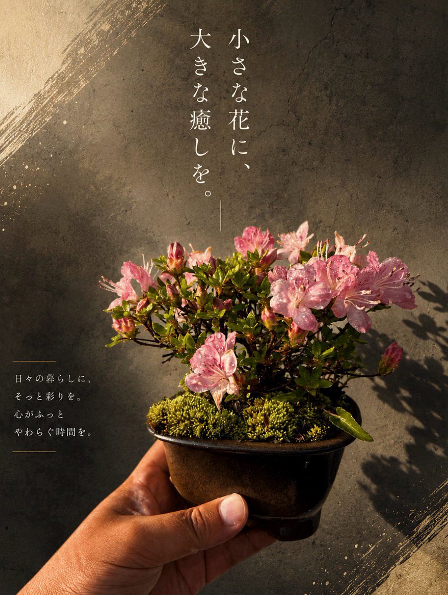koni_bon's tweet photo. 深山霧島ちゃんが今年も咲きました。
Rhododendron kiusianum flowering

#盆栽 #盆栽好きと繋がりたい  #盆栽のある暮らし #盆栽初心者 #深山霧島 #bonsai  #minibonsai #bonsailife #japan https://t.co/HYlRruN0Zl