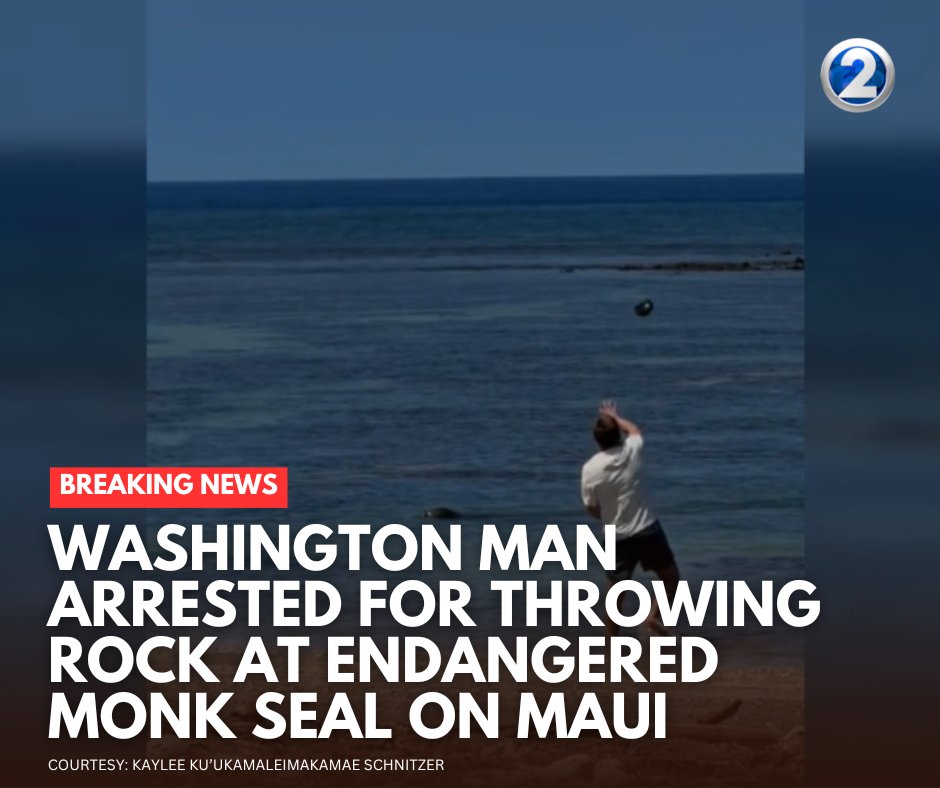 KHON2 News tweet media