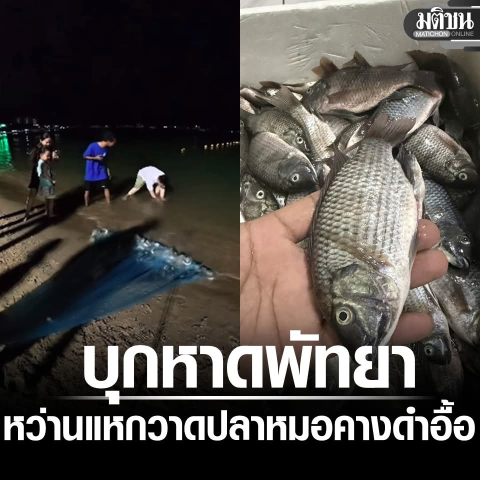 แม่กระต่ายพอพอ 🌼🌻 tweet media
