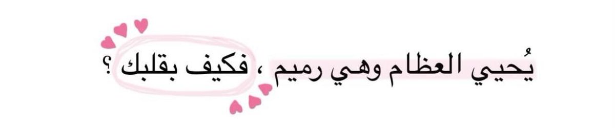 🪽 tweet media