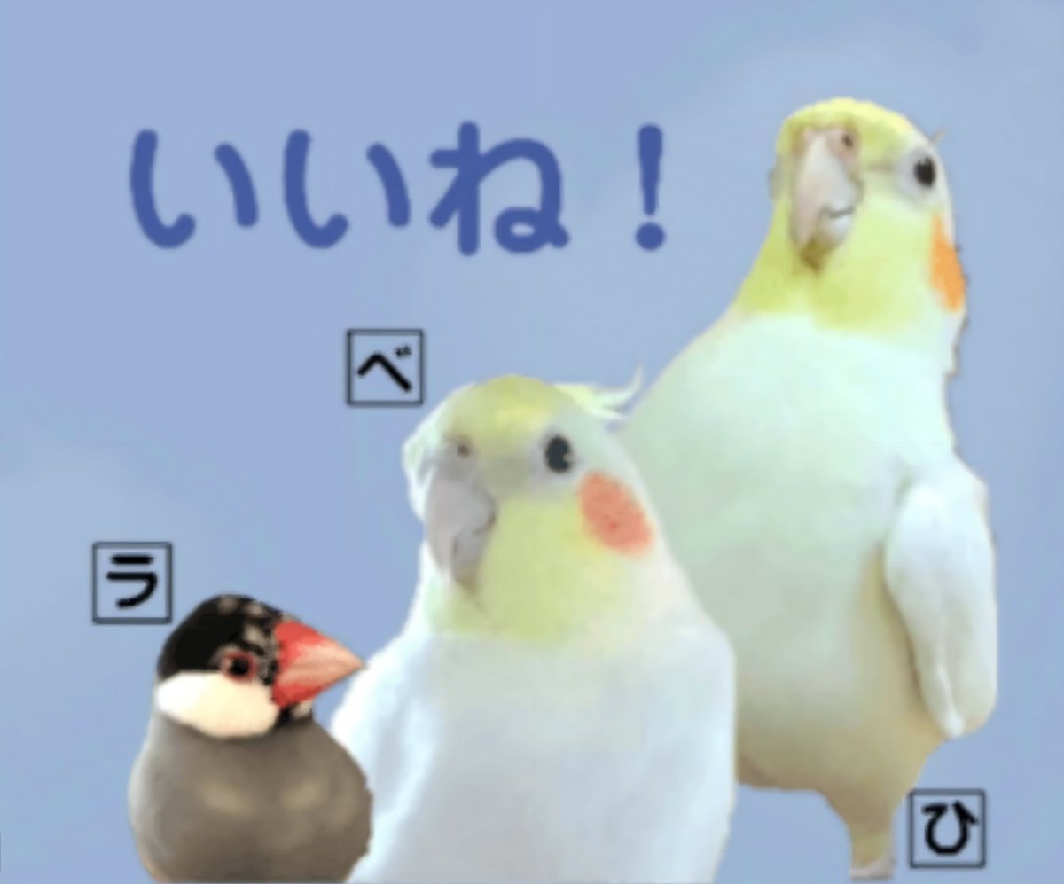 べるを商店🐥 tweet media