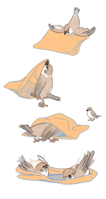 鳥さん と いなりあげもち #愛鳥週間