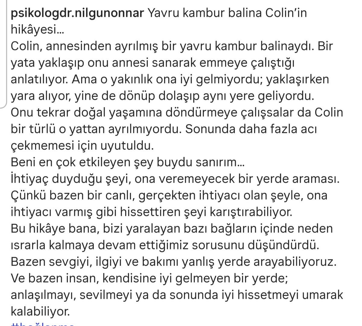 artkafa's tweet photo. Yavru balina Colin'in hikayesi:
#NilgünOnnar https://t.co/bBeI2Xt2DC