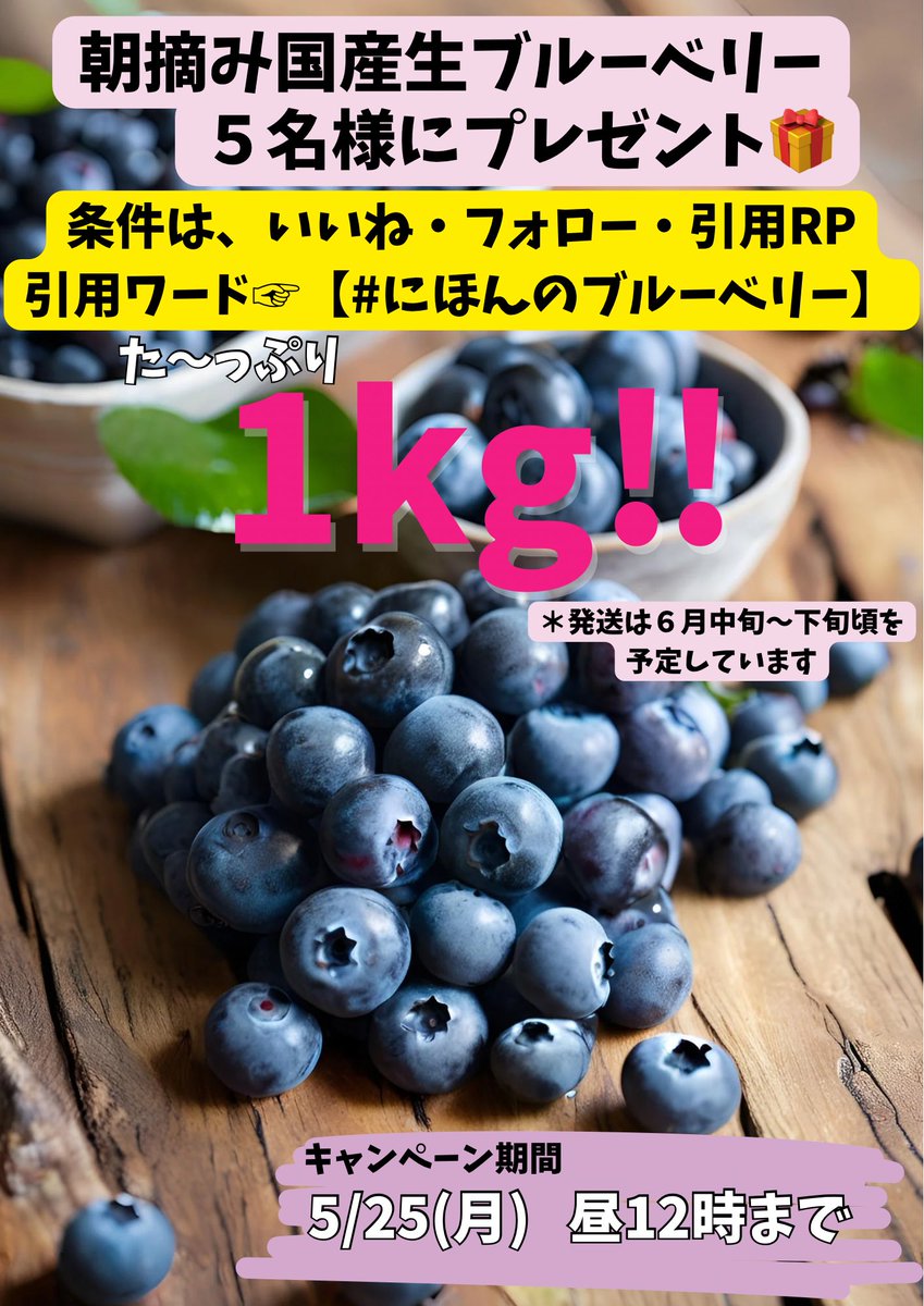 suigou_group's tweet photo. ＼お待たせしました✨／
今年も旬の生ブルーベリーをたっぷり1kg🎁します😍

条件は3つ👇
☑️いいね
☑️フォロー
☑️引用RP(引用ワード→#にほんのブルーベリー)

応募〆切5/25(月)お昼12時🕛です！
たくさんのご応募お待ちしてます🐏♪
#プレゼントキャンペーン
#ブルーベリー
#エネファーム水郷 https://t.co/Sw9IApVjNw
