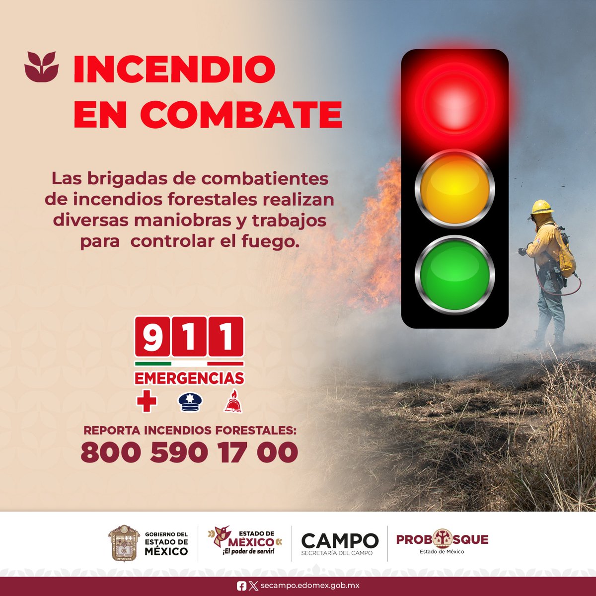 PROBOSQUE tweet media